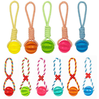 Interactive Rope Ball Toy