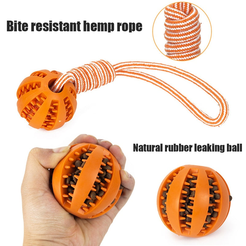 Interactive Rope Ball Toy