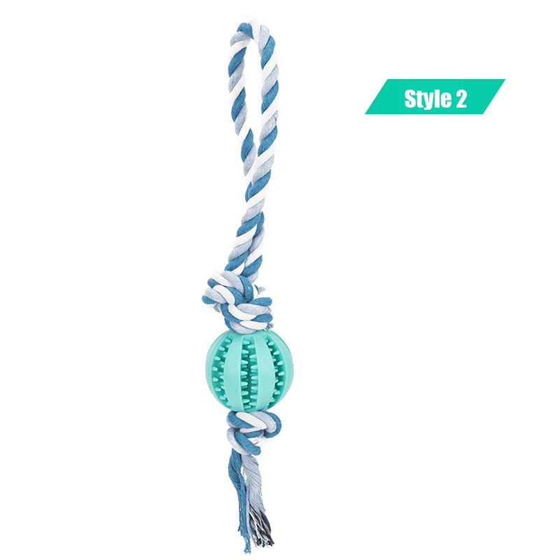 Interactive Rope Ball Toy