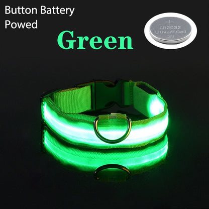 LED Safety Collar