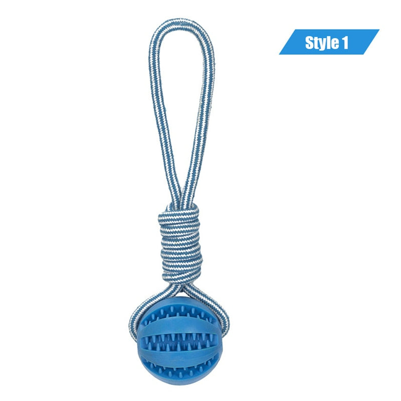 Interactive Rope Ball Toy