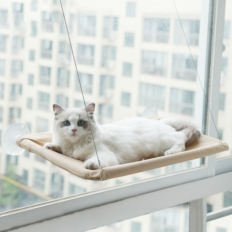 Cat Hanging Hammock