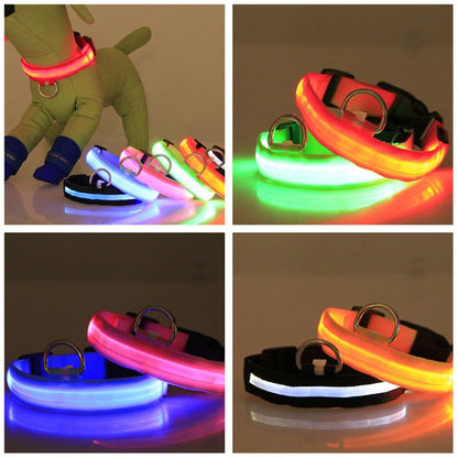 LED Safety Collar