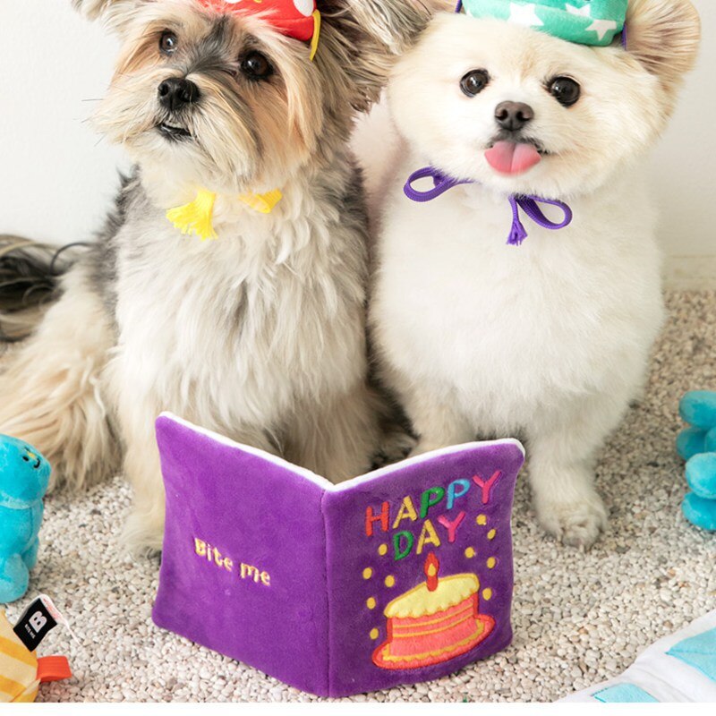 Pet Birthday Apparel Toys