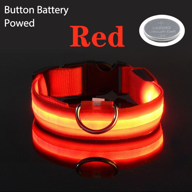 LED Safety Collar