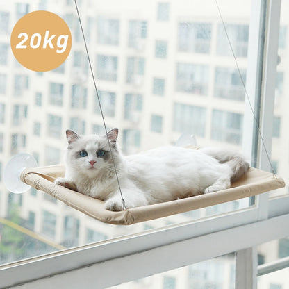 Cat Hanging Hammock