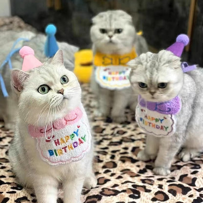 Cat Birthday Clothing Set