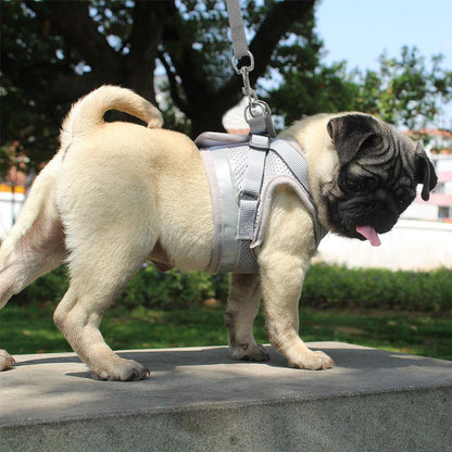 Comfortable Pet Walking Harness