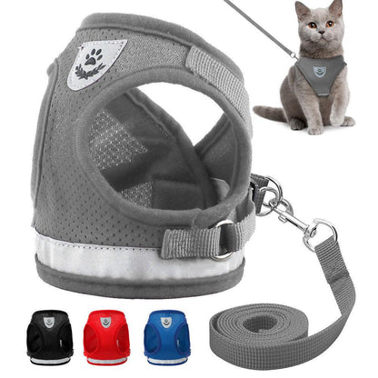 Comfortable Pet Walking Harness