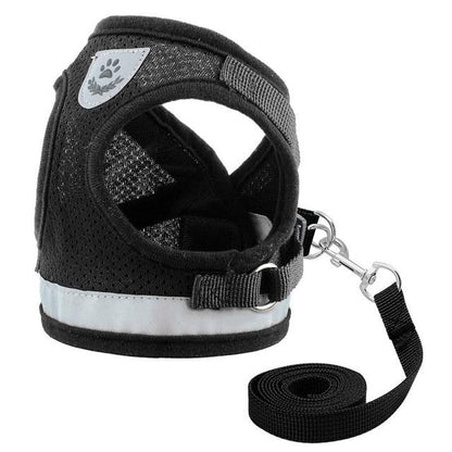 Comfortable Pet Walking Harness