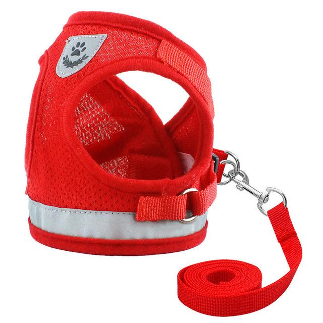 Comfortable Pet Walking Harness